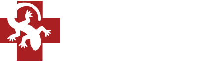 Amphibious Medics